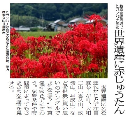 ならを学ぶ