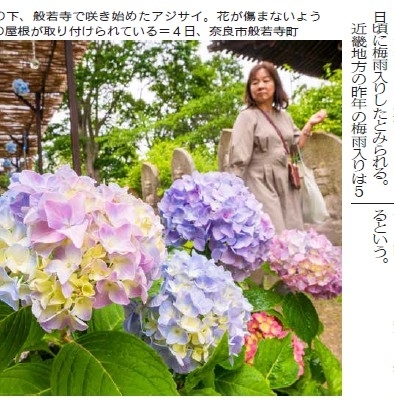 ならを学ぶ