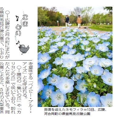 ならを学ぶ